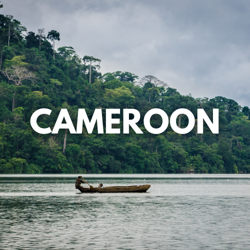 Cameroon Visit Visa