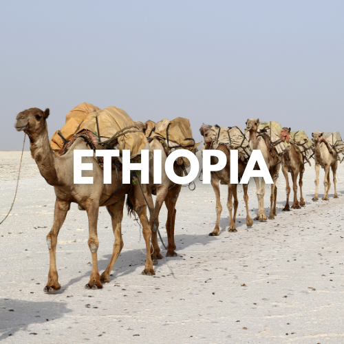 Ethiopia Visit Visa