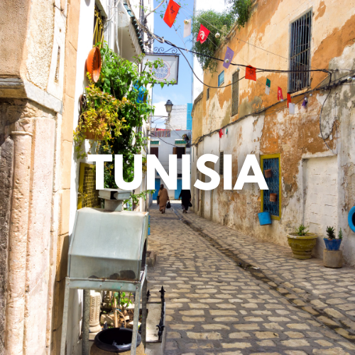 Tunisia Visit Visa